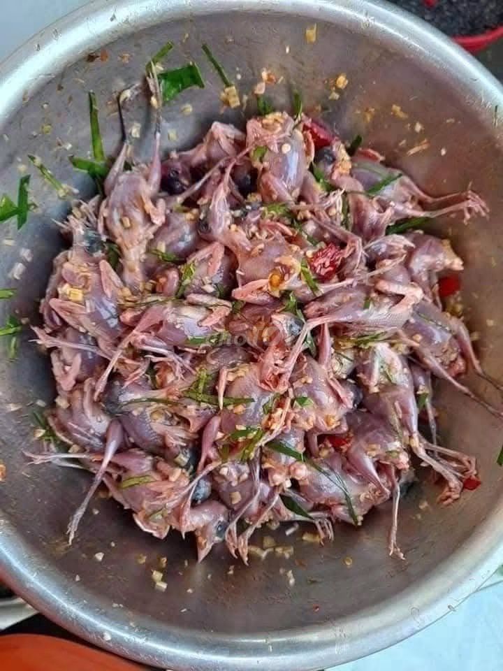 Thịt chim sẻ đã làm sạch hút chân không. Mua bán Đồ ăn, thực phẩm và các loại khác tại Huyện Krông Bông Đắk Lắk được đăng bởi Thiên Tà hình 1
