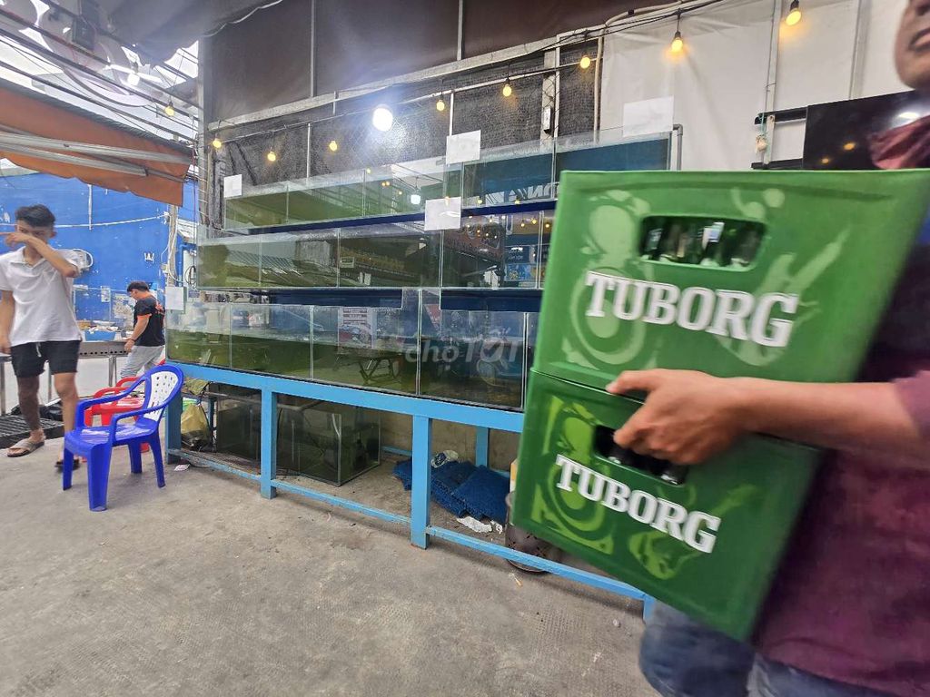 BỂ NUÔI THỦY HẢI SẢN LỚN CHO NHÀ HÀNG , BÌNH TÂN,. Mua bán Đồ chuyên dụng, Giống nuôi trồng tại Quận Bình Tân Tp Hồ Chí Minh được đăng bởi Lê Hoàng Tiến hình 3