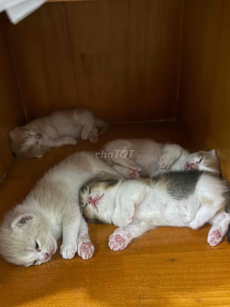 Ngoan xinh yêu của bố/ mẹ đây rồiii
