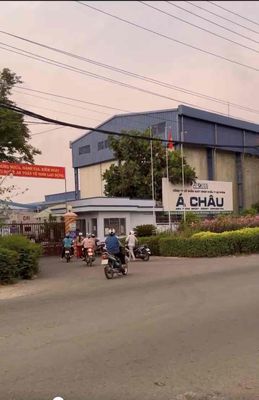 chính chủ cần bán nhanh