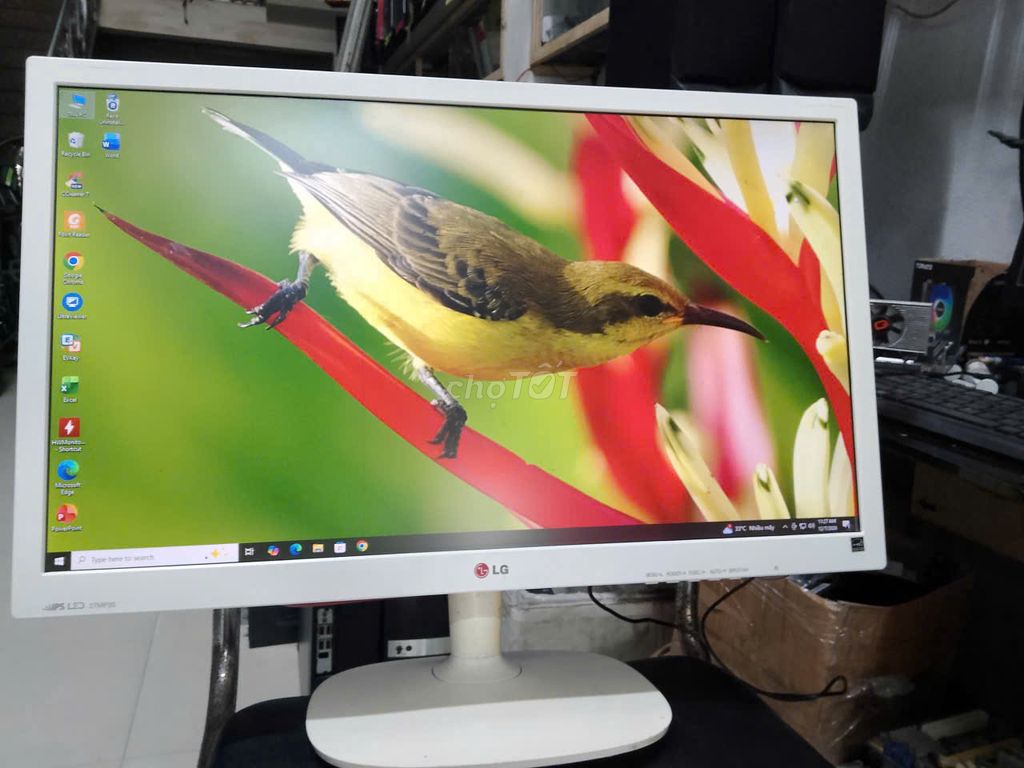 Màn hình LG 27MP35 27 inch Trắng còn sáng đẹp. Mua bán Phụ kiện (Màn hình, Chuột...) tại Quận Sơn Trà Đà Nẵng được đăng bởi THANH TAM hình 1