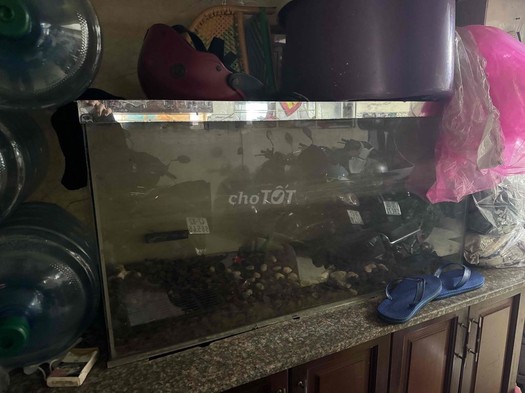 Bể cá 1m x 80cm. Mua bán Phụ kiện, Thức ăn, Dịch vụ tại Quận Tân Bình Tp Hồ Chí Minh được đăng bởi Gia Huy hình 1