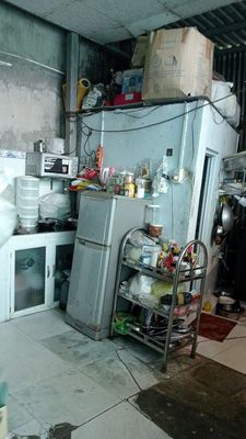 về quê chăn vịt 