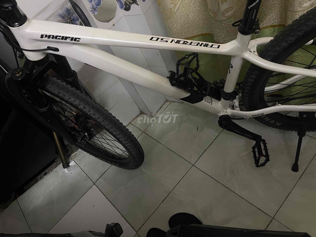 Xe đạp MTB Pacific carmeron 5.0