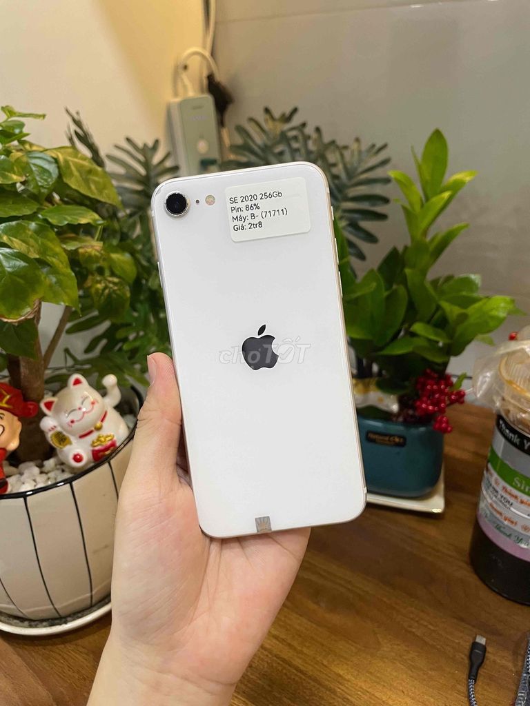iPhone SE 2020 256G J/A (Trắng) Zin full. Mua bán Điện thoại tại Huyện Hóc Môn Tp Hồ Chí Minh được đăng bởi Luân Hoài hình 1