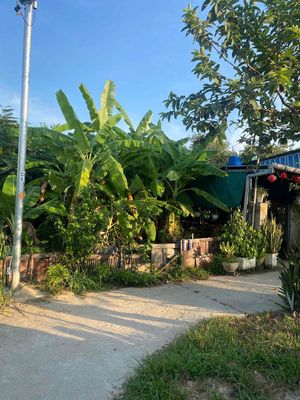 Lô đất quy chủ ngang 6m k264 hoàng văn thái chính chủ