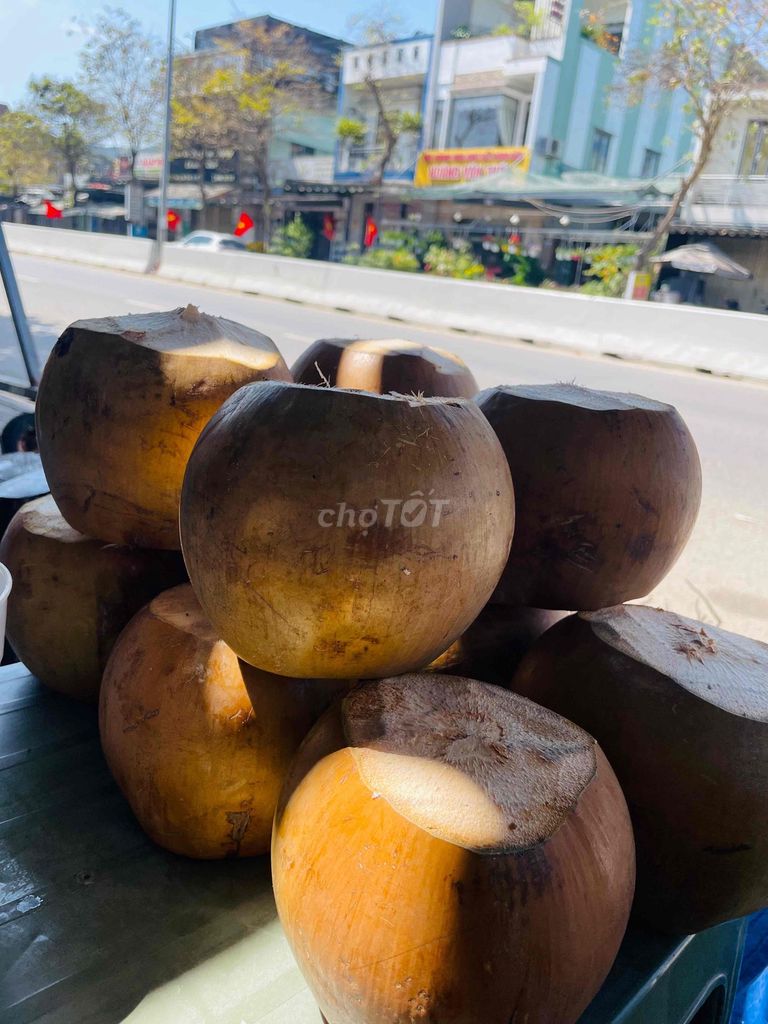Dừa tươi nguyên trái. Mua bán Đồ ăn, thực phẩm và các loại khác tại Quận Liên Chiểu Đà Nẵng được đăng bởi Vân Hạ hình 1