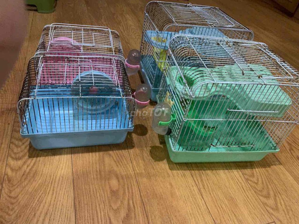 Lồng nuôi Chuột Hamster Lồng to, lồng nhỏ 4 cái. Mua bán Phụ kiện, Thức ăn, Dịch vụ tại Huyện Thanh Oai Hà Nội được đăng bởi KỶ NGUYỄN hình 1