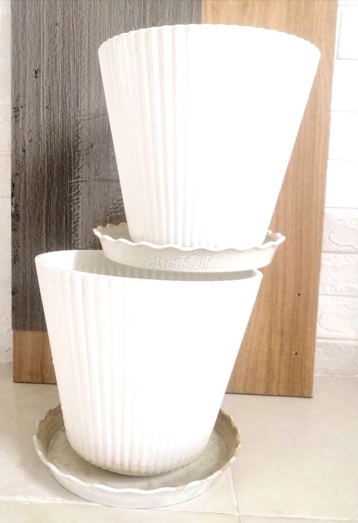 Chậu cây nhựa trắng sữa 26x27cm đã sử dụng. Mua bán Cây cảnh, đồ trang trí tại Quận Cái Răng Cần Thơ được đăng bởi TiNy Elva hình 1