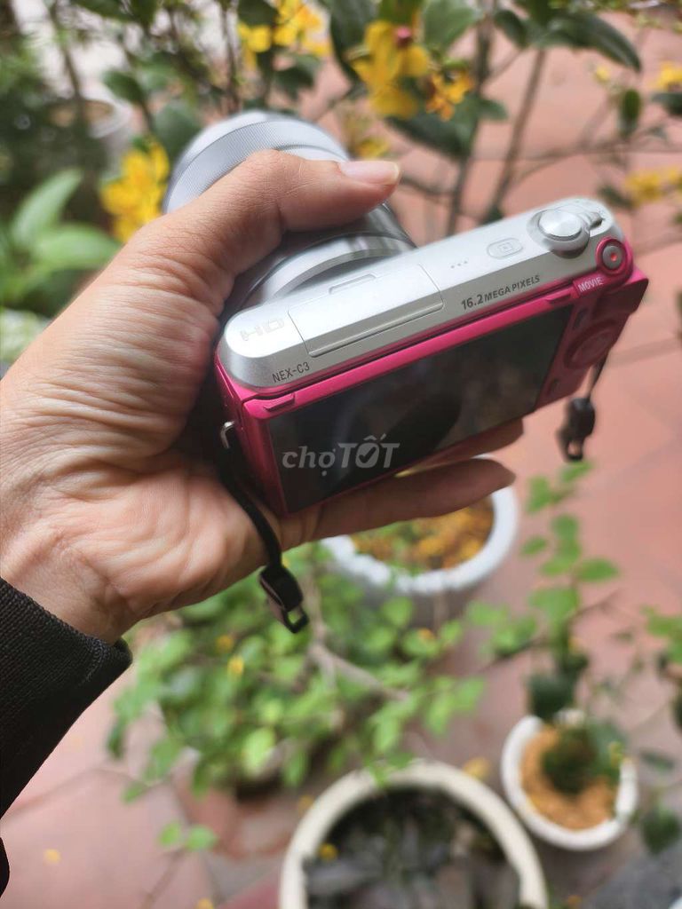Máy ảnh Sony NEX-C3 Hồng. Mua bán Máy ảnh, Máy quay tại Thành phố Phủ Lý Hà Nam được đăng bởi trongvu hình 1