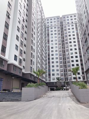 Cần cho thuê căn hộ Green River - Phạm Thế Hiển - P6 - Quận 8