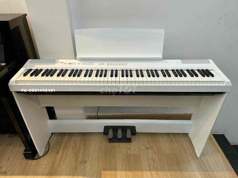 Yamaha P105