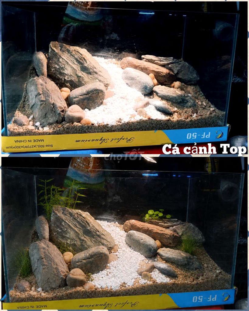 hồ đá suối. Mua bán Phụ kiện, Thức ăn, Dịch vụ tại Quận Liên Chiểu Đà Nẵng được đăng bởi Trương Ngân Hà hình 1