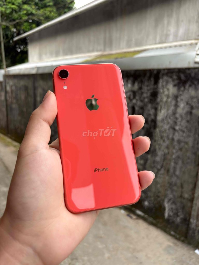 Apple iPhone XR 64GB Cam vũ trụ. Mua bán Điện thoại tại Thị xã Hương Thủy Thừa Thiên Huế được đăng bởi Ho Van hình 1