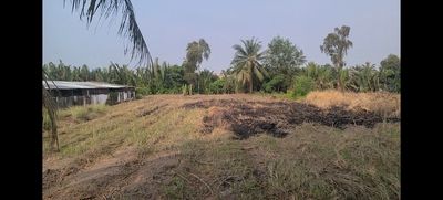 Bán đất vườn có sổ đỏ, cách khu hành chính và agora 300m. Mua bán đất tại Huyện Thủ Thừa Long An được đăng bởi Lê Hoàn Hảo 