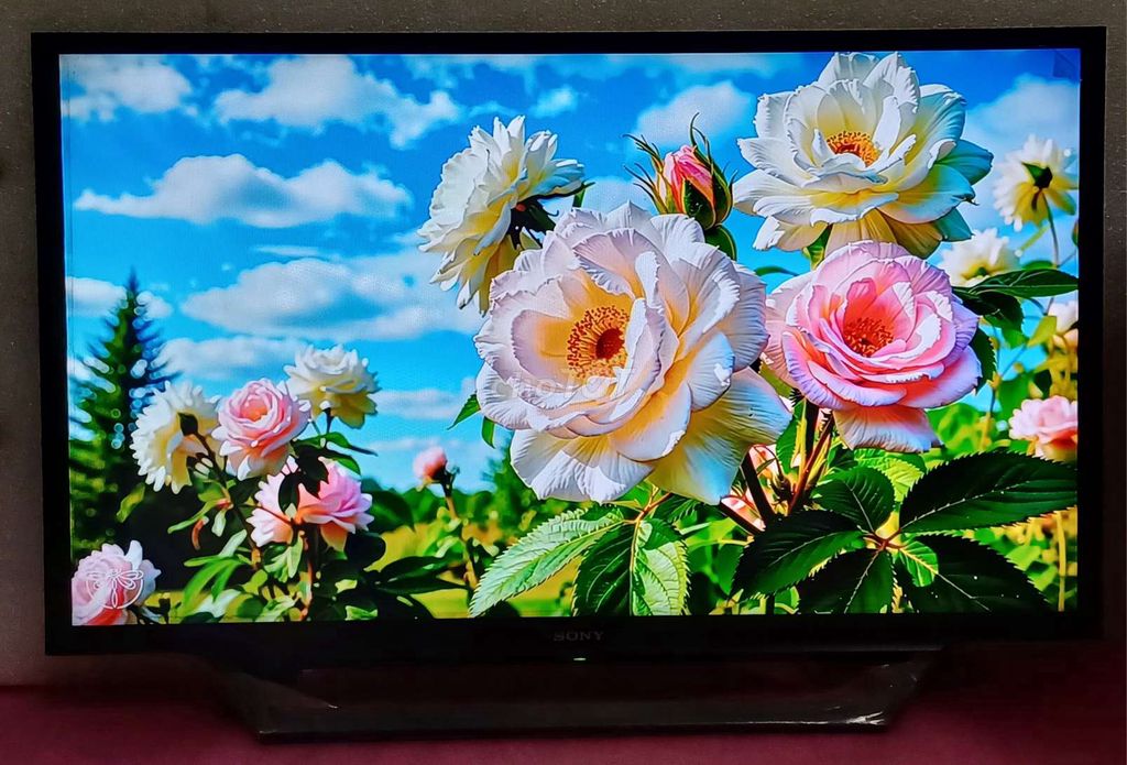 Smart tivi wifi Sony 32 inch sáng đẹp loa vòm hay