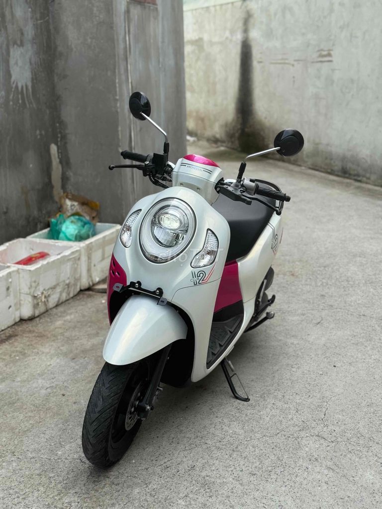 SCOOPPY 2022 BSTP 9 CHỦ