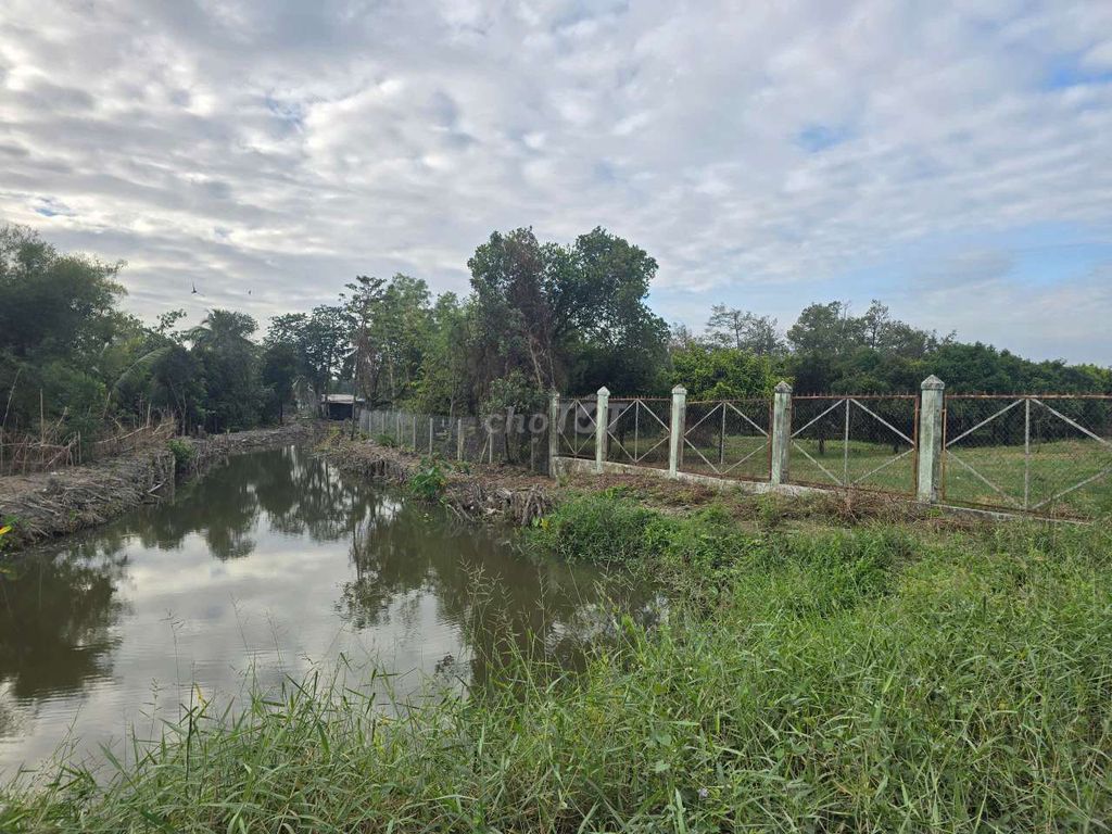 4666m2 đất sông sài gòn bán 41 tỷ. Mua bán đất tại Huyện Củ Chi Tp Hồ Chí Minh được đăng bởi Nhà Đất Oanh Oanh Bình Mỹ Củ Chi hình 3