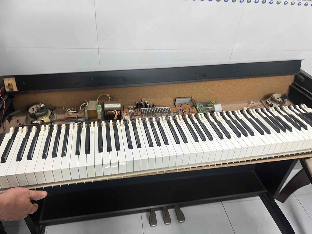 Chuyên Sửa Chữa Đàn Piano Organ Tại Biên Hoà