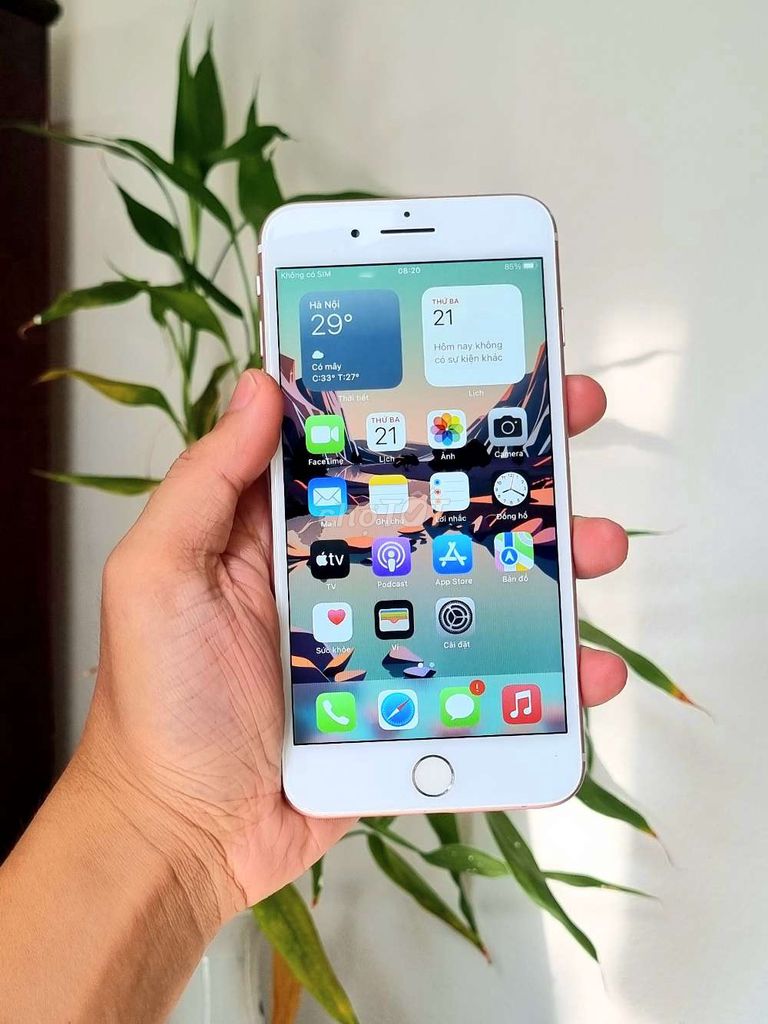 iPhone 7 Plus Hồng Quốc tế. Mua bán Điện thoại tại Quận Hải Châu Đà Nẵng được đăng bởi Lộc Roy hình 1