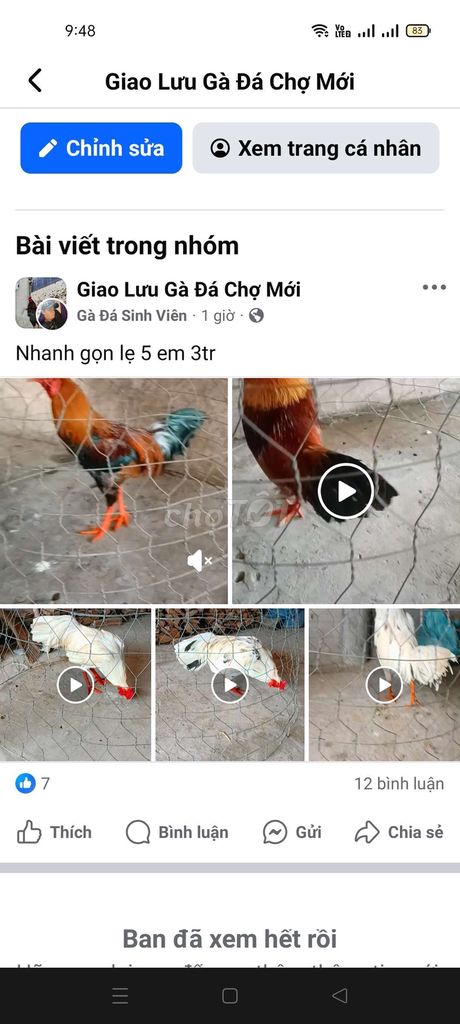 Cần thanh lý 5 em 2k5 tới 2k9 tay tốt