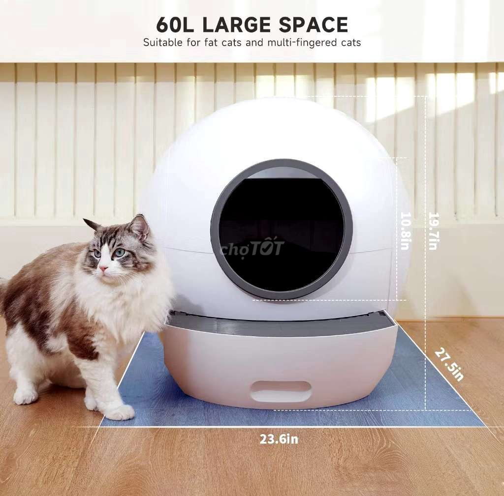 Hộp vệ sinh mèo 60L Trắng space x auto. Mua bán Phụ kiện, Thức ăn, Dịch vụ tại Thành phố Vũng Tàu Bà Rịa - Vũng Tàu được đăng bởi nguyễn đức anh hình 1