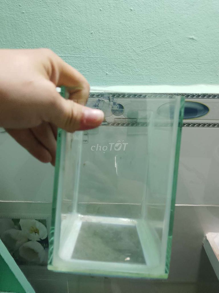 Hồ cá mini Kính 12x10x10cm. Mua bán Phụ kiện, Thức ăn, Dịch vụ tại Quận 7 Tp Hồ Chí Minh được đăng bởi Nguyễn Quang Trung hình 1