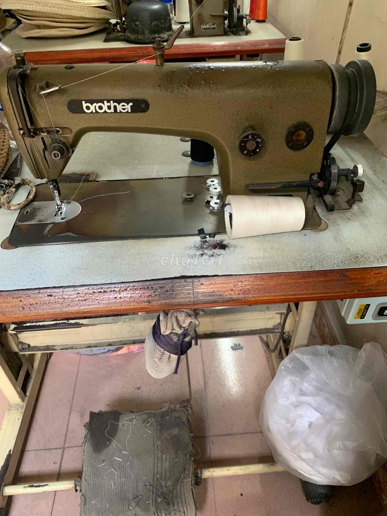 Bán máy may Nhật Bản
