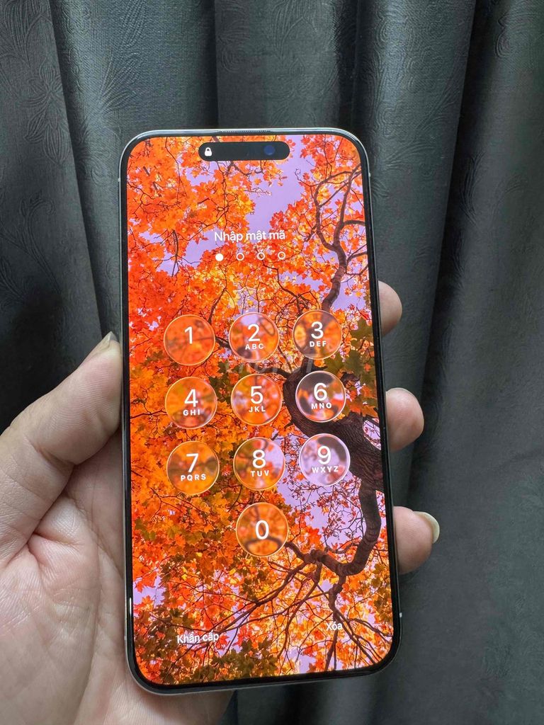 iPhone 15 Pro Max 256GB Bạc. Mua bán Điện thoại tại Quận Long Biên Hà Nội được đăng bởi hồ mạnh hiếu hình 1