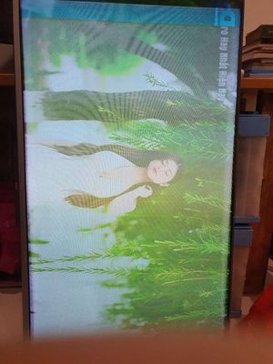 Thanh lý Smart tivi tcl 43in 4k. Mua bán Tivi, Âm thanh tại Thành phố Thủ Đức Tp Hồ Chí Minh được đăng bởi nguyên tuan