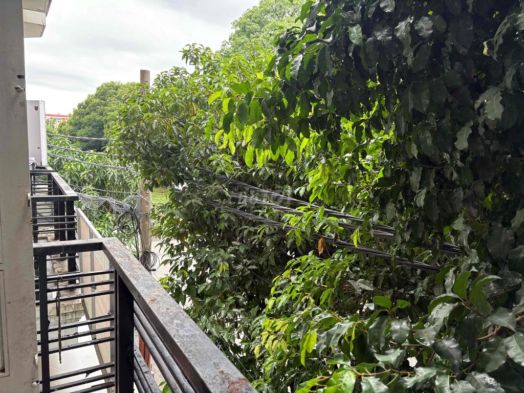 Phòng Ban Công Khu Tên Lửa