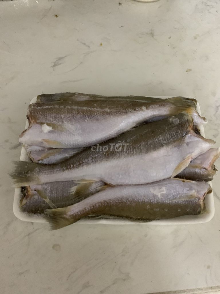 Cá Lạnh làm sạch ( 1kg ). Mua bán Đồ ăn, thực phẩm và các loại khác tại Quận Cầu Giấy Hà Nội được đăng bởi Le Tam hình 2