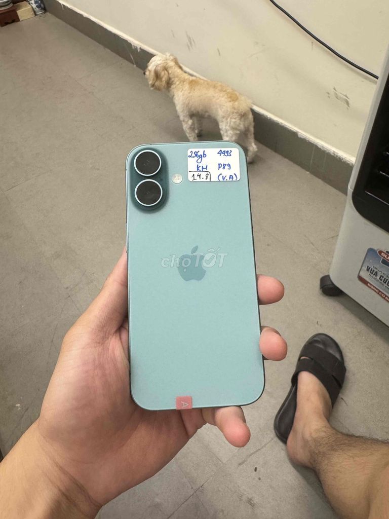 iPhone 16 256GB Xanh zin all. Mua bán Điện thoại tại Quận Đống Đa Hà Nội được đăng bởi Cường Nguyễn hình 1