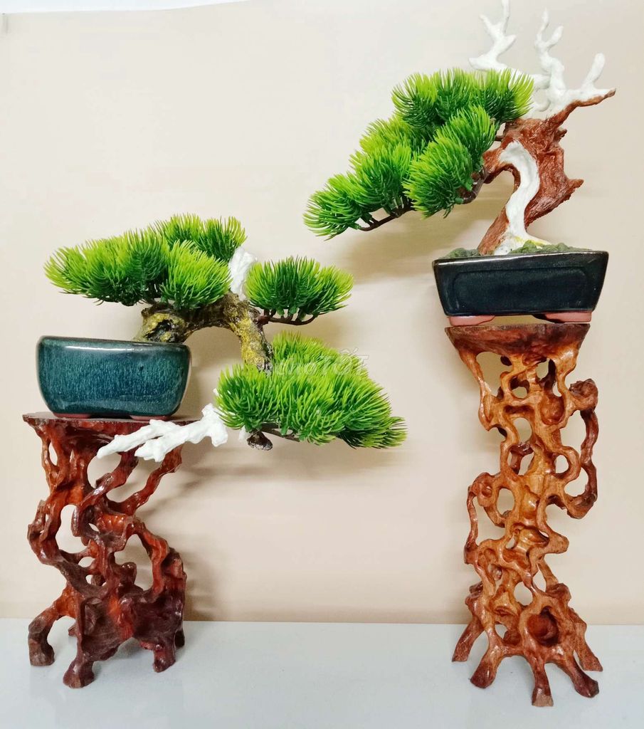 034.. cặp đôn và cây bonsai nghệ thuật