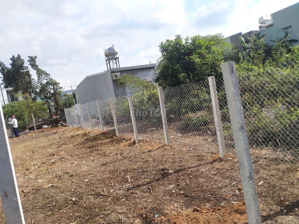 Trụ Bê Tông 1m5 - 2m rào Vườn. Mua bán Đồ chuyên dụng, Giống nuôi trồng tại Quận Ngũ Hành Sơn Đà Nẵng được đăng bởi rin hình 1