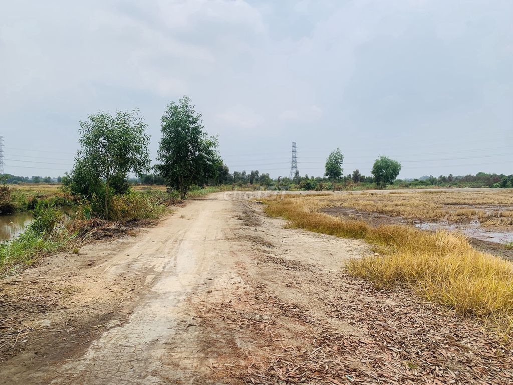 Kẹt bán1077m2 đất, đường ô tô 6m, gần Cao Tốc TPHCM - Mộc Bài chỉ 500m