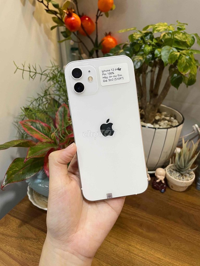 iPhone 12 64GB Trắng đẹp 99% - màn film. Mua bán Điện thoại tại Huyện Hóc Môn Tp Hồ Chí Minh được đăng bởi Luân Hoài hình 1