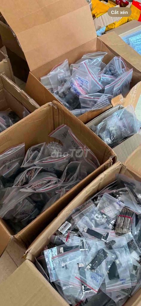 thayddoor main 12 mini 13 mini 12 promax HCM full. Dịch vụ dọn dẹp nhà tại Quận Tân Phú Tp Hồ Chí Minh được đăng bởi Trương Hiệp hình 1