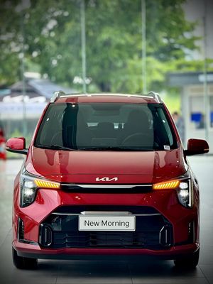 NEW MORNING GTLINE VIN25