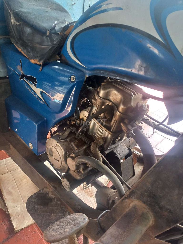 Xe ba gác đã sử dụng màu xanh dương có ben. Mua bán Phương tiện khác tại Huyện Cao Lãnh Đồng Tháp được đăng bởi Ngan Năm Tinh Vân Đep hình 4