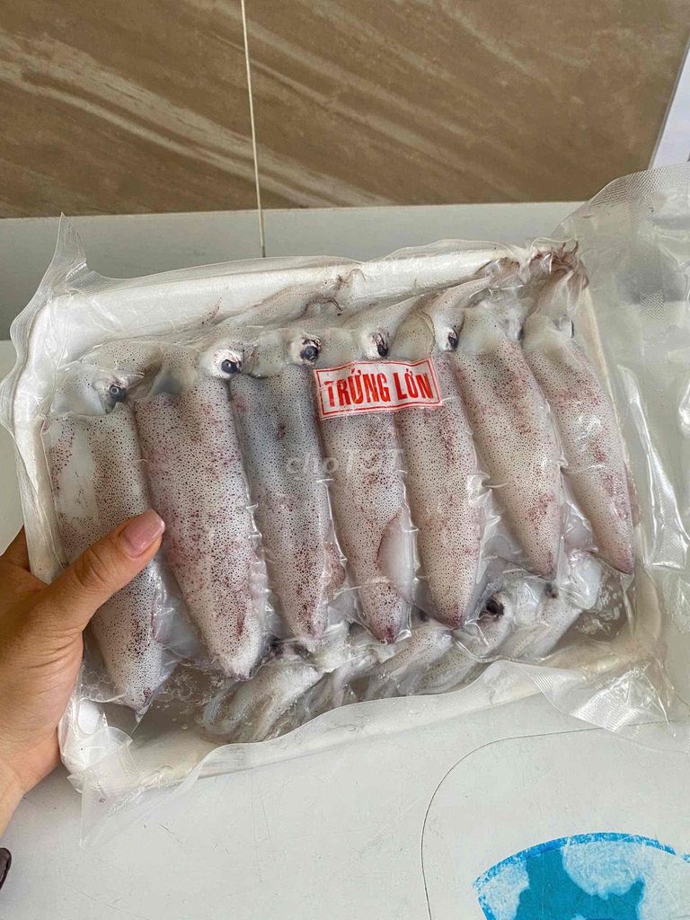 Mực trứng tươi ngon. Mua bán Đồ ăn, thực phẩm và các loại khác tại Quận Cái Răng Cần Thơ được đăng bởi Võ Khắc Duy  hình 1