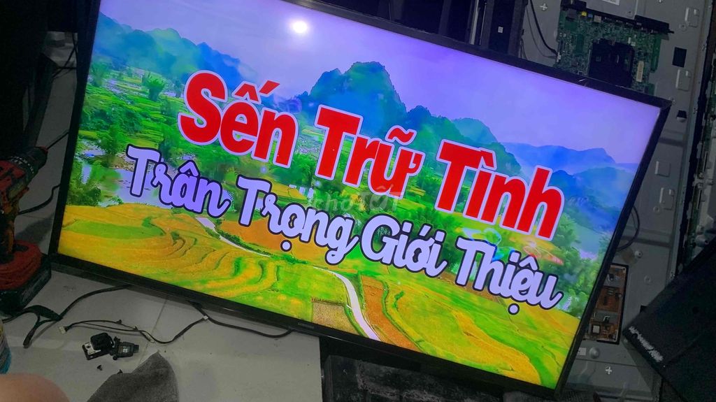 bán tivi samsung 43in 4k bị sọc ngan