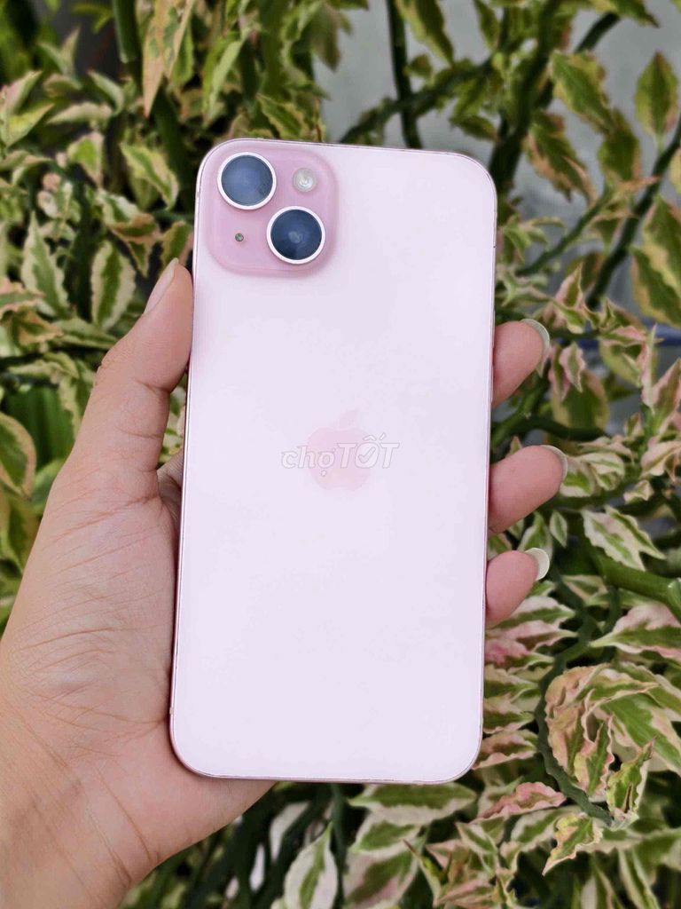 Apple iPhone 15 Plus 128GB Hồng Mỹ 98%. Mua bán Điện thoại tại Quận Ninh Kiều Cần Thơ được đăng bởi Tài Apple Store hình 1