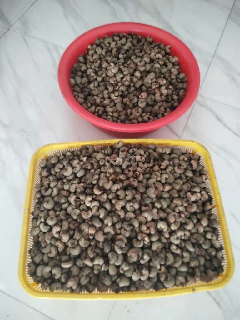 Hạt điều tươi. Mua bán Đồ ăn, thực phẩm và các loại khác tại Quận Thanh Khê Đà Nẵng được đăng bởi Nữ hình 1
