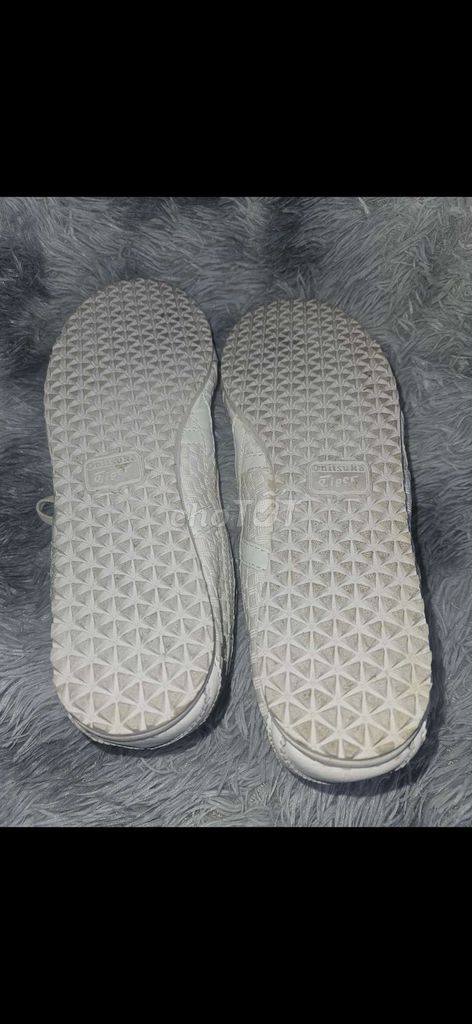Giày tiger size 44