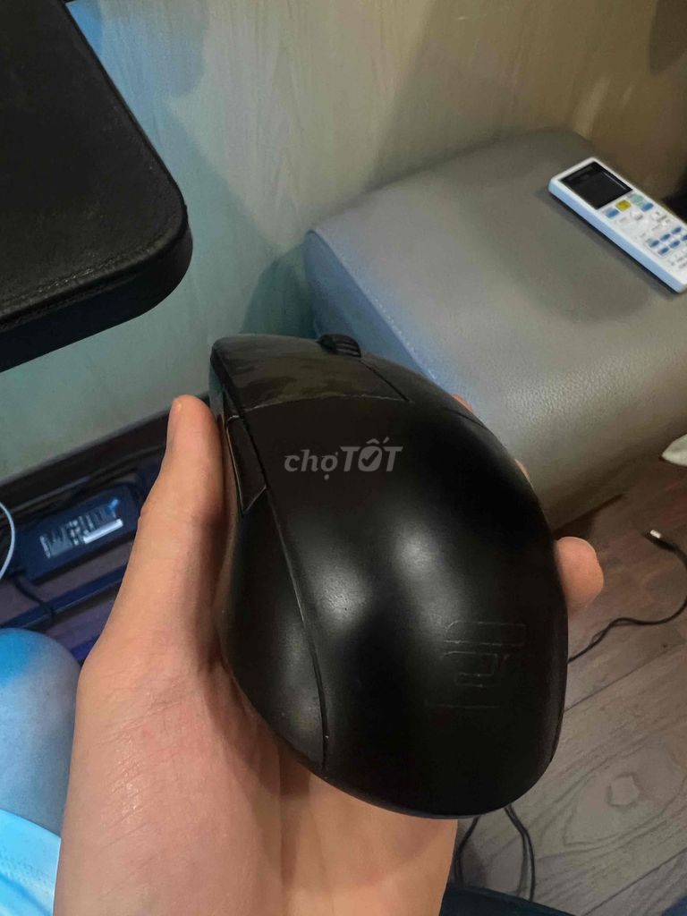 Chuột Endgame Gear XM1r Đen. Mua bán Phụ kiện (Màn hình, Chuột...) tại Quận Hồng Bàng Hải Phòng được đăng bởi Hiep hình 1