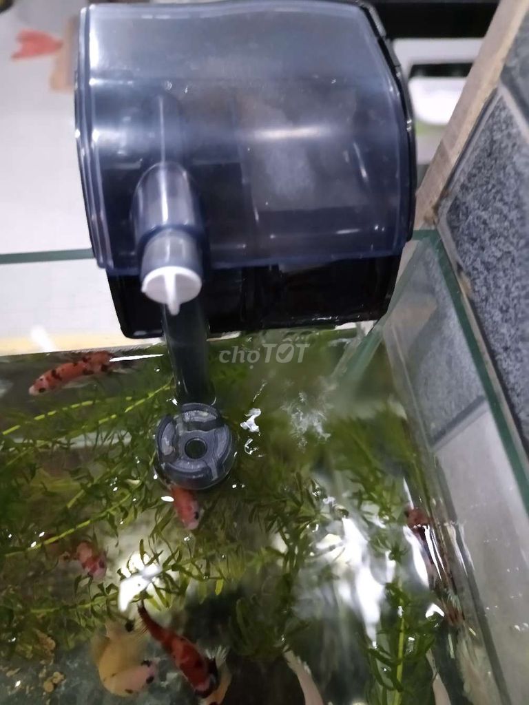 Lọc bể cá Sobo. Mua bán Phụ kiện, Thức ăn, Dịch vụ tại Quận 12 Tp Hồ Chí Minh được đăng bởi qedvhhffc hình 1