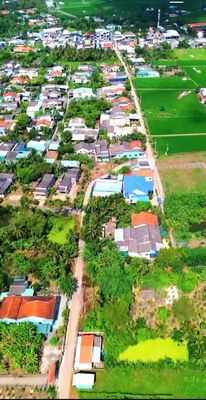 Hàng F0, chỉ 459tr sở hữu 150m2 đất thổ đường Nguyễn Thị Tấm. Mua bán đất tại Huyện Tân Trụ Long An được đăng bởi Thanh Hùng