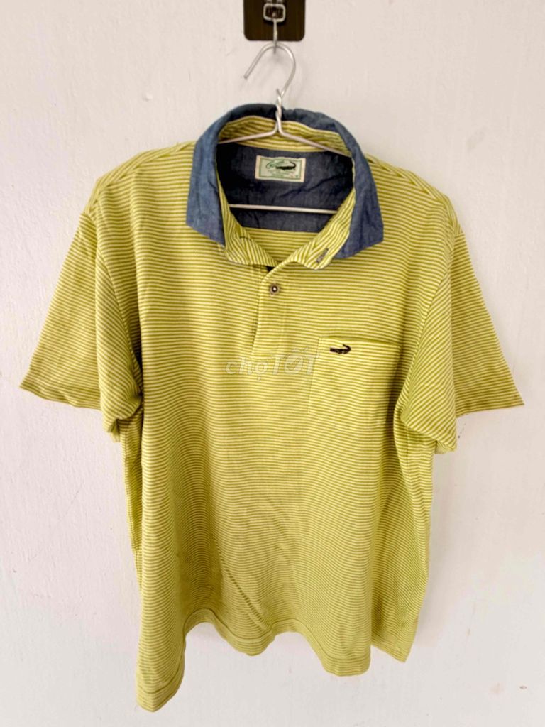 Áo thun Cá Sấu Nam size L. Mua bán Quần áo tại Huyện Tam Bình Vĩnh Long được đăng bởi Nguyễn An Bình hình 1