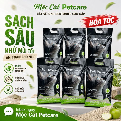 Cát vệ sinh PetHaven Bentonite 9L Vón cục nhanh. Mua bán Phụ kiện, Thức ăn, Dịch vụ tại Thành phố Thủ Đức Tp Hồ Chí Minh được đăng bởi Mộc Cát Petcare hình 1